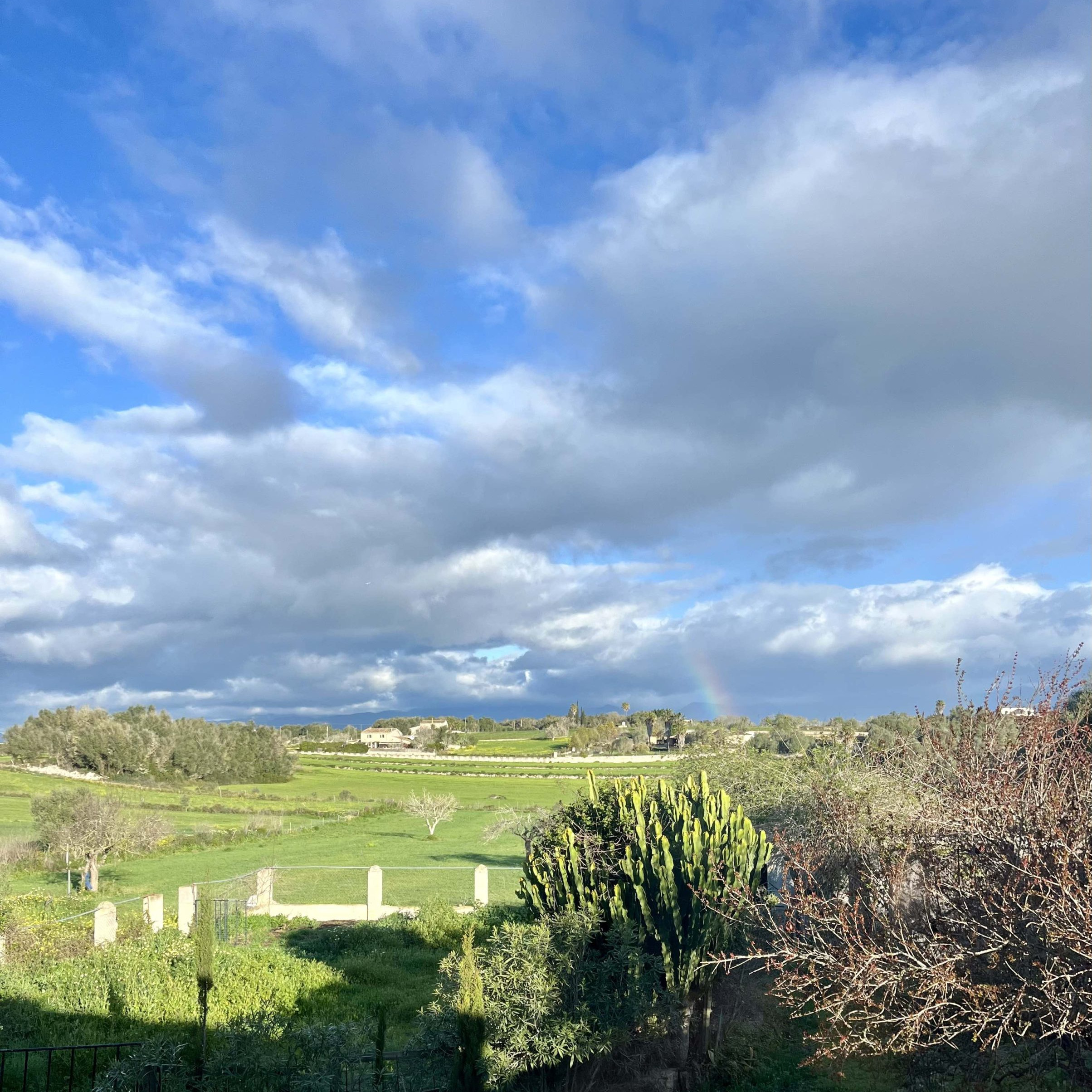 property management Mallorca Sineu countryside