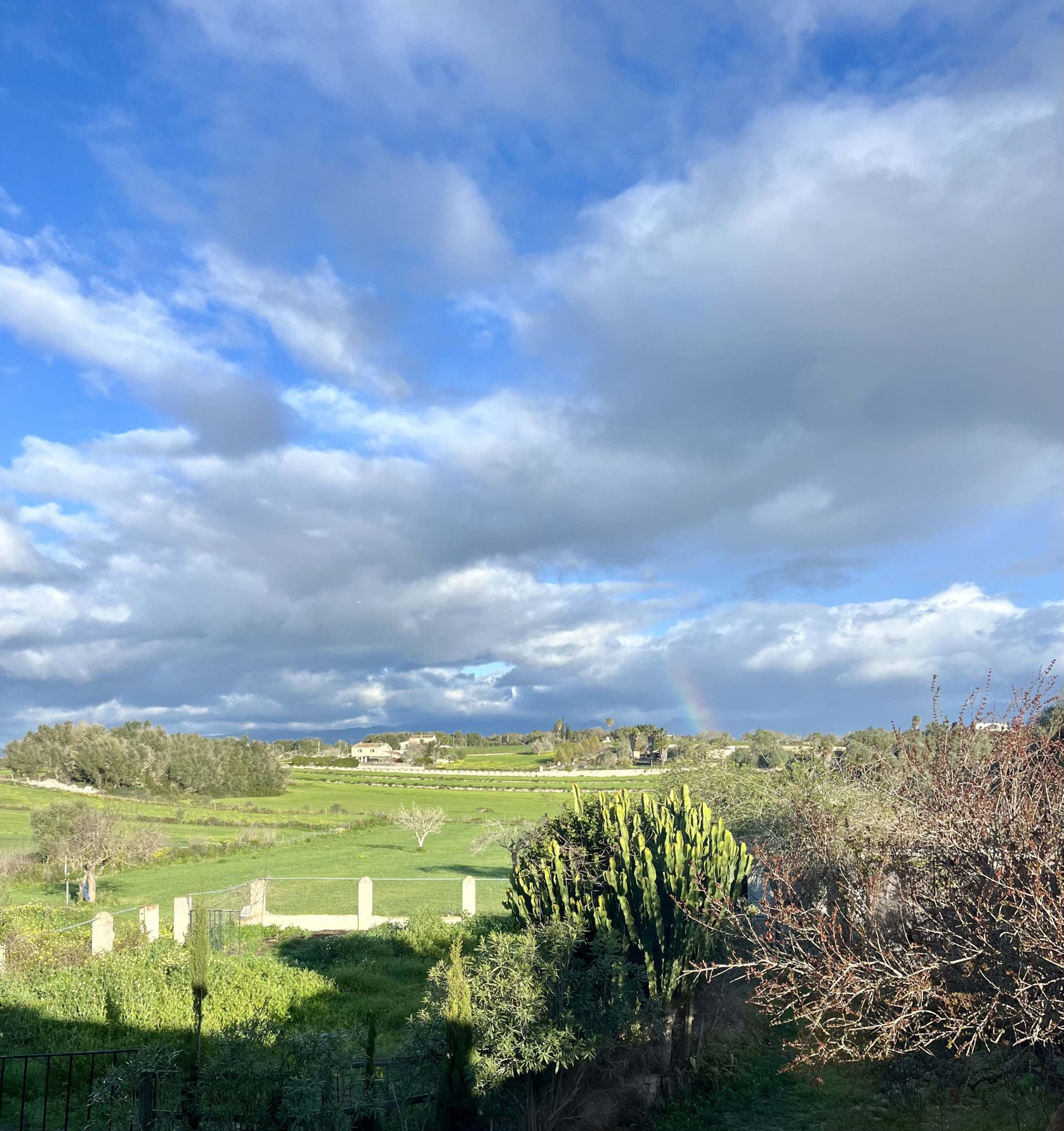 property management Mallorca Sineu countryside