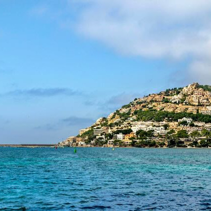 property management Mallorca in Andratx heather